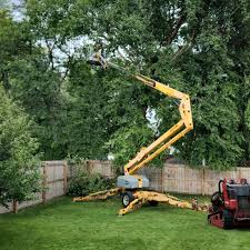 Best Tree and Shrub Care  in King, NC